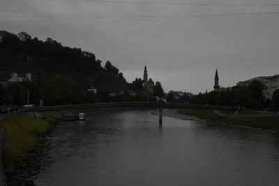 DSC_6094 (Large).JPG